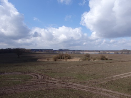 Between Gustrow and Waren (Muritz)