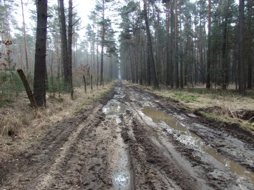 Lost between Juterbog and Muero