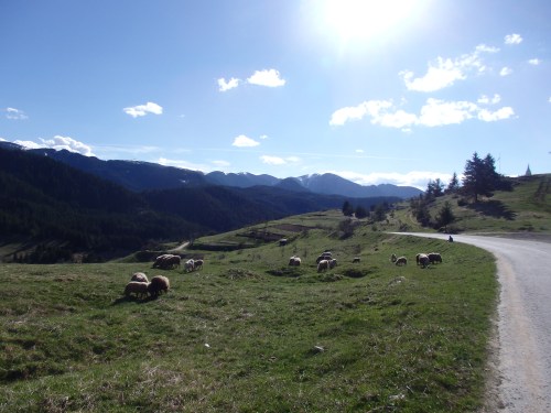 Mountain pass towards Smolyan