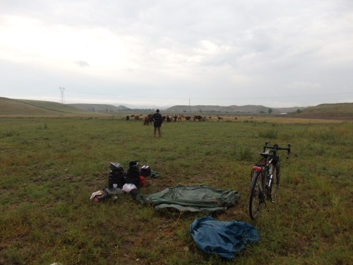 My helpful shepherd friend