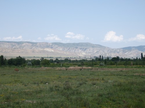 A sorry-looking football pitch